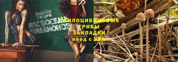 прущие крисы Балахна