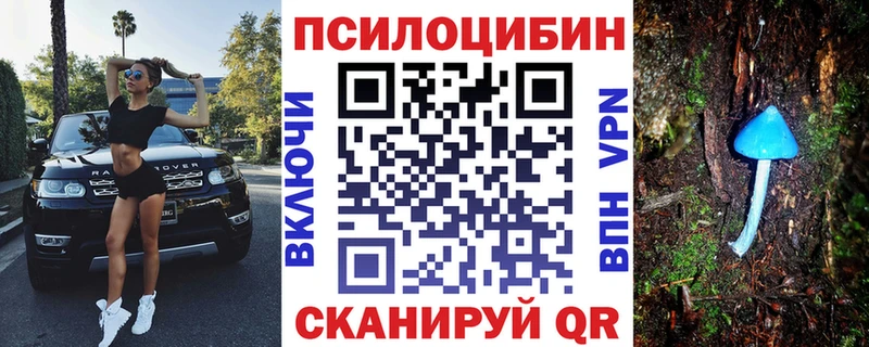 где найти Рудня Псилоцибиновые грибы Cubensis